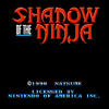 Shadow Of The Ninja